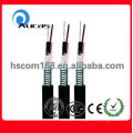 La qualité assure le meilleur prix Câble fibre optique monomode 12 core (extérieur et intérieur)